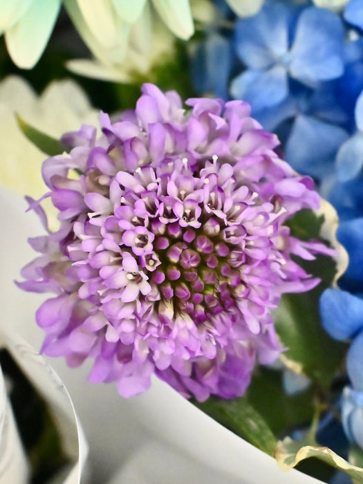 Supreme Bouquet