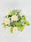 White & Green Garden