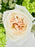 White & Green Garden