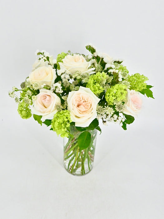 White & Green Garden