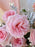 Whimsical Pink