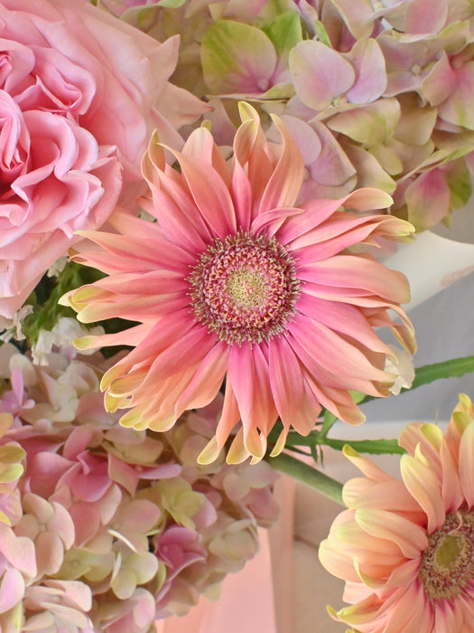 Whimsical Pink