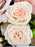 Belfort Bouquet