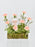 Cute Novi Money Garden