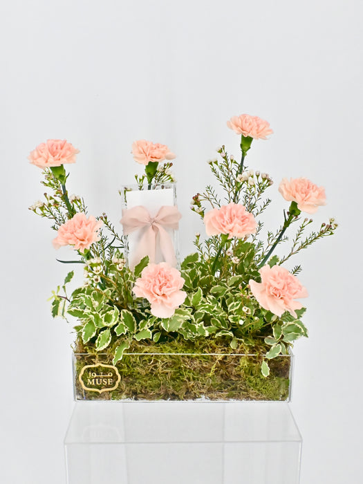 Cute Novi Money Garden