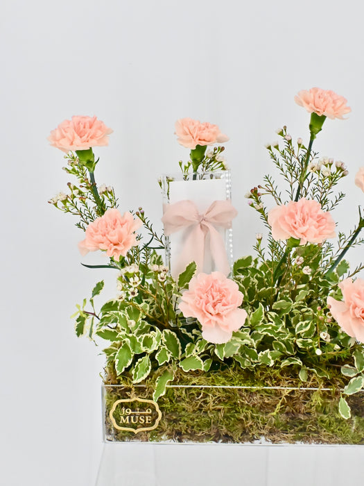 Cute Novi Money Garden