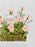 Cute Novi Money Garden