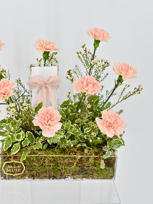 Cute Novi Money Garden
