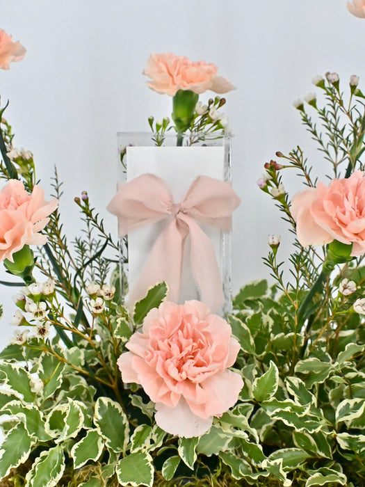 Cute Novi Money Garden