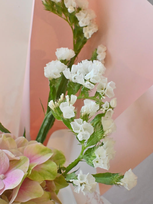 Whimsical Pink