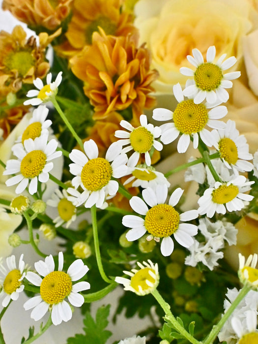 Tana Bouquet