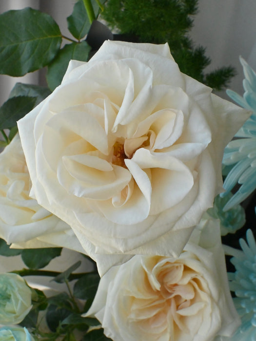 Sky Bouquet