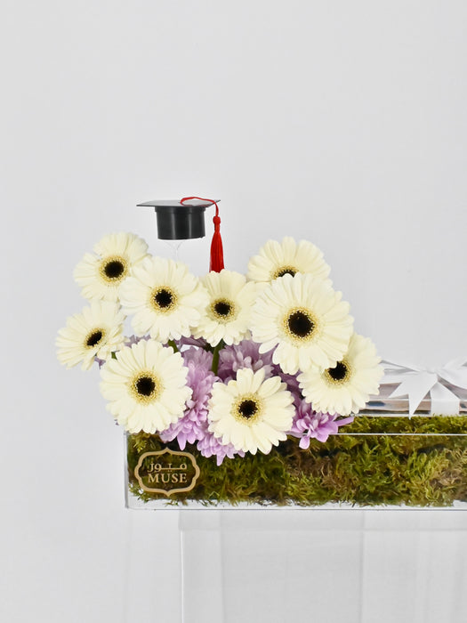 Germini Grad Money Arrangement