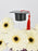 Germini Grad Money Arrangement