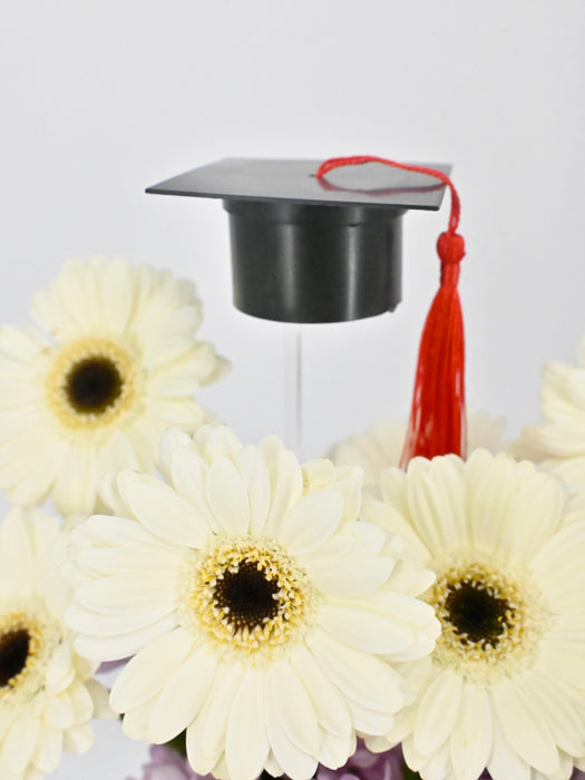 Germini Grad Money Arrangement