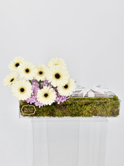 Germini Money Arrangement