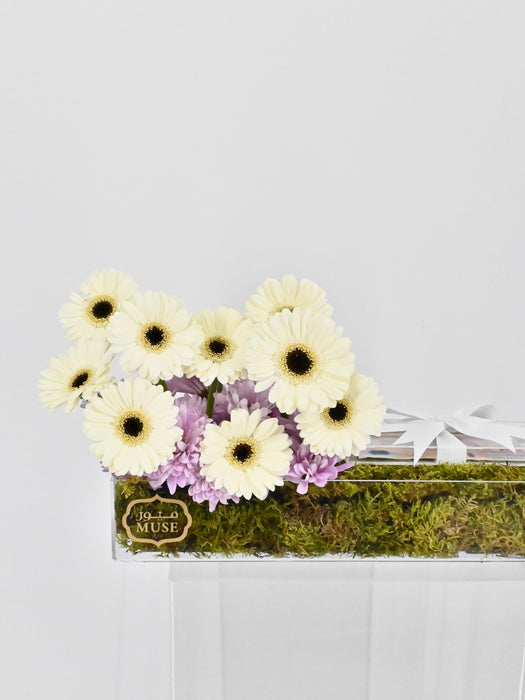 Germini Money Arrangement