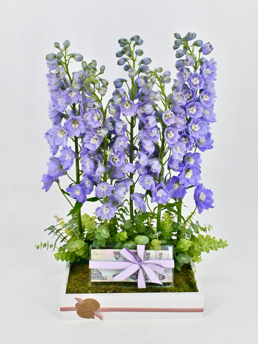 Triton Lavender