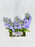 Triton Lavender