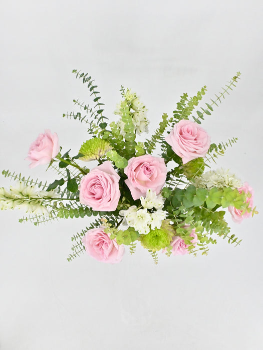 O’hara Bloom