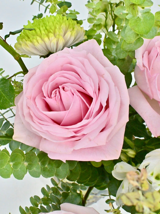 O’hara Bloom