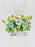 Gerbera Two Color