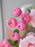 Graduate's Garden Luxe Bouquet