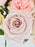 Pastel Garden