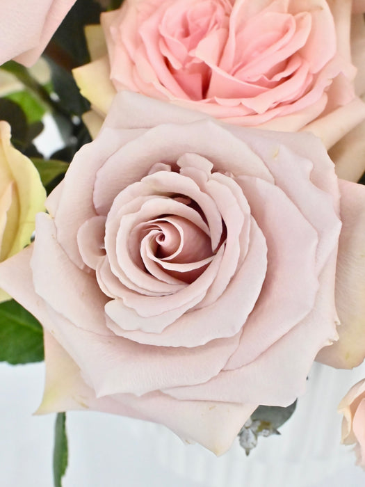 Pastel Garden