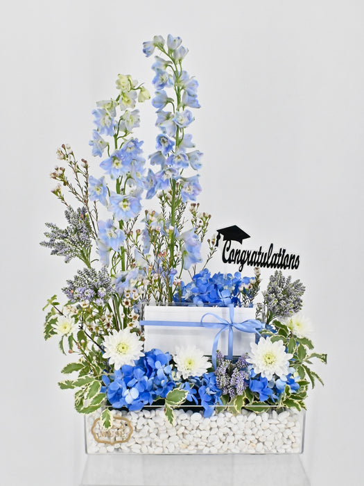 Veroni Money Garden