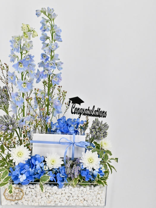 Veroni Money Garden