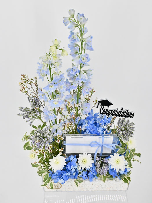 Veroni Money Garden