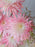 Blush Bloom Luxury Money Basket
