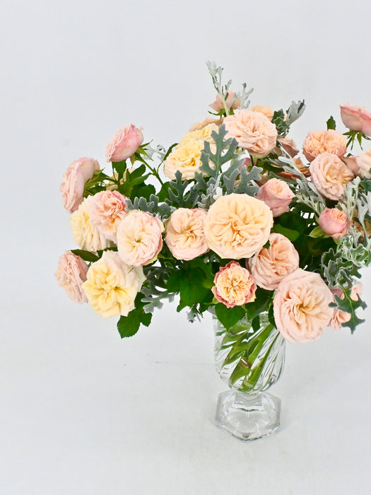 Gentle Beauty