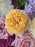 Celebration Cash Bloom Box
