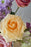 Celebration Cash Bloom Box