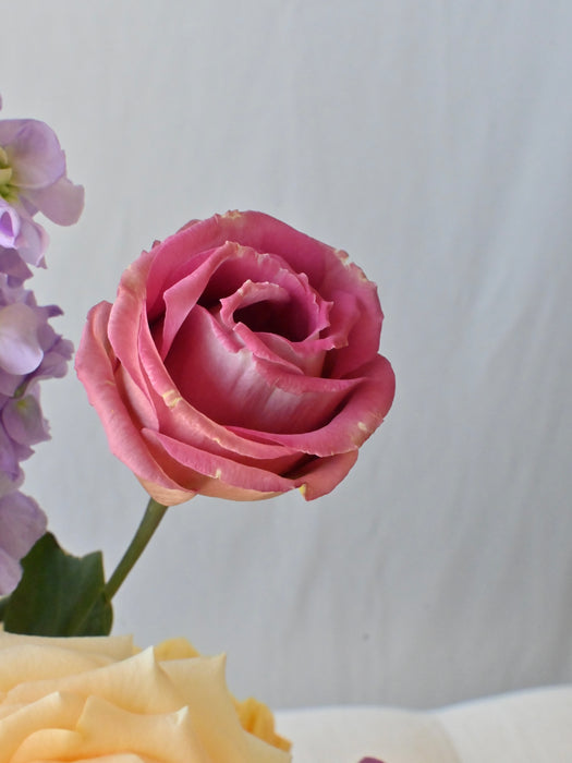 Celebration Cash Bloom Box