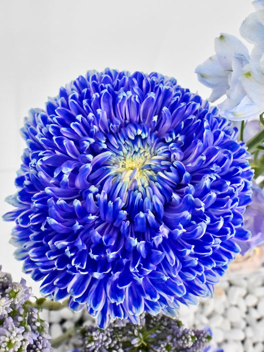 Splash Azure
