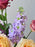 Celebration Cash Bloom Box