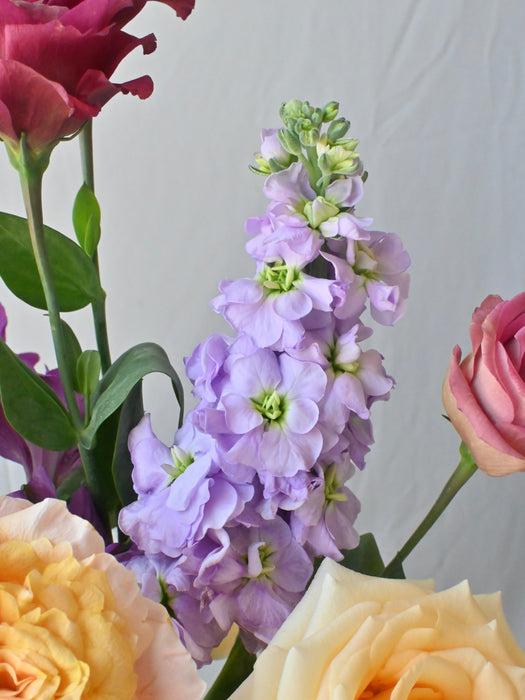 Celebration Cash Bloom Box
