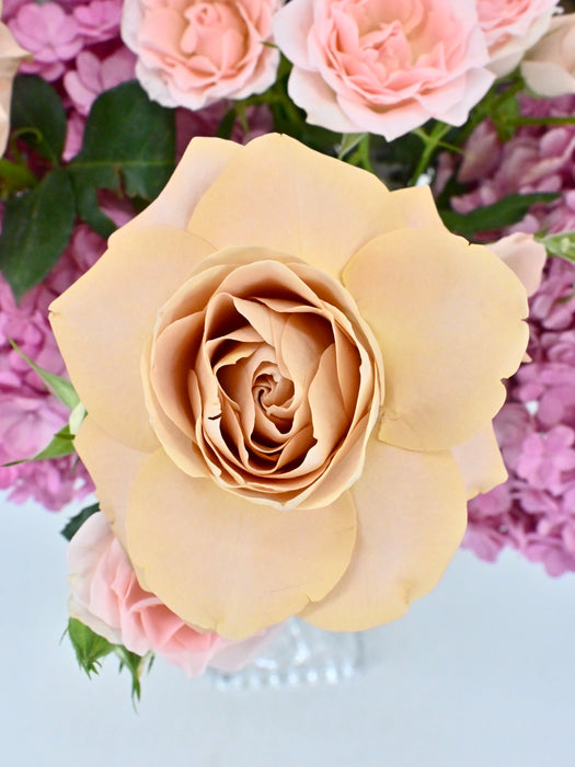 Luxe Garden