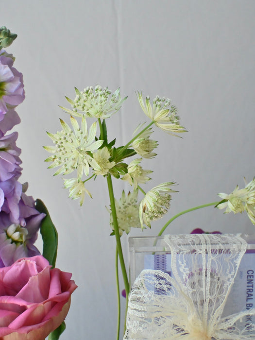 Celebration Cash Bloom Box