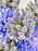 Splash Azure