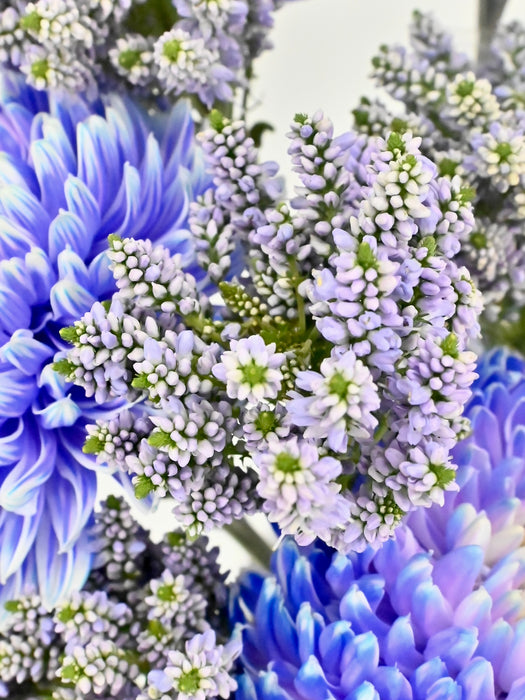 Splash Azure
