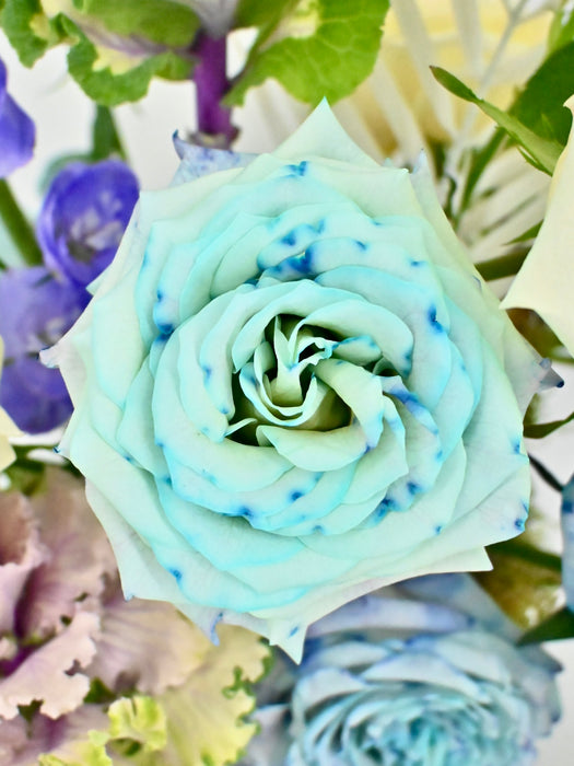 Ruffle Rose