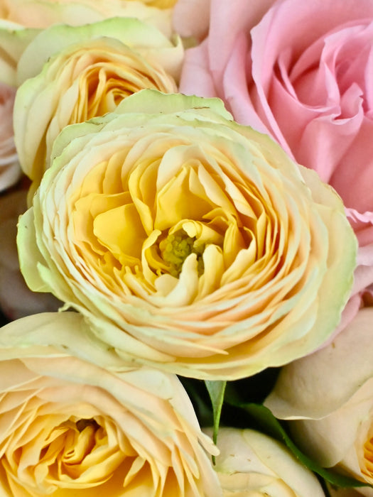 Sweet Bouquet
