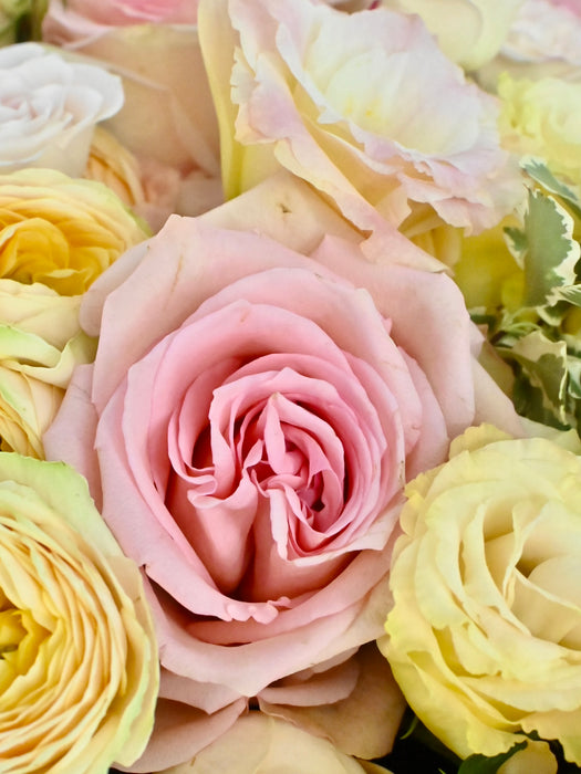 Sweet Bouquet