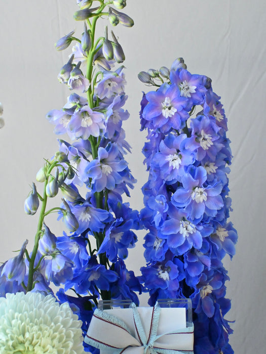 Classic Blue Prosperity Blooms
