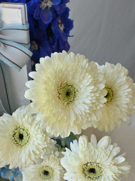Classic Blue Prosperity Blooms