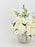 Champion White